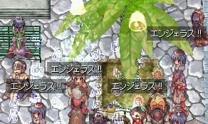 邩̂悤ɃuMB