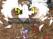 ACeWC肗