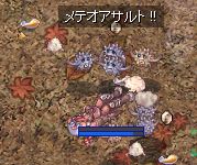 [遗G