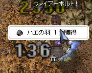 炸₪c