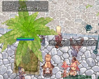 蒆SSYꂽorz